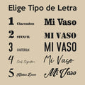 Pack 6 Vasos Shoperos Bavaria 564ml + Diseño Personalizado Grabado Láser