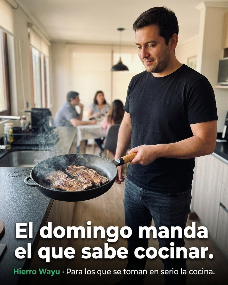 Sartén Wayu 24 Cm Redondo Hierro