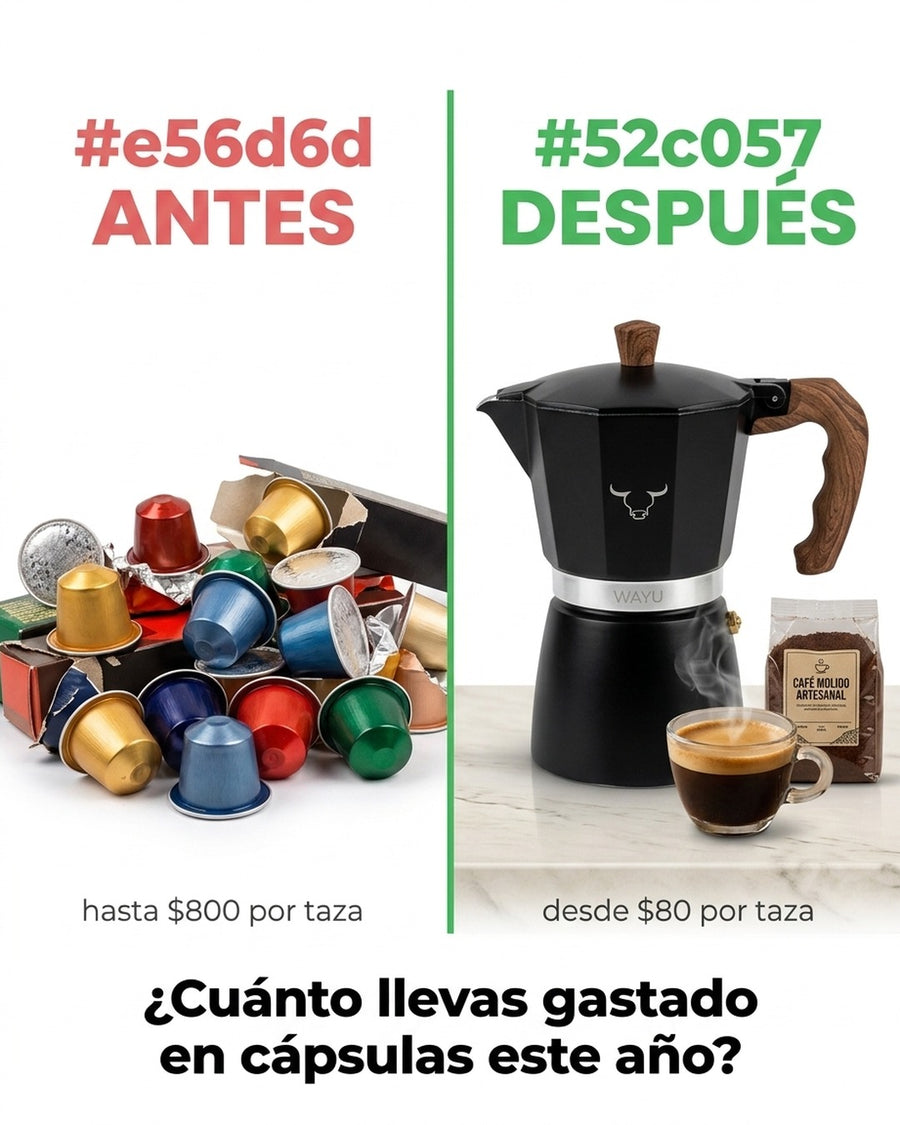 Cafetera Italiana Wayu 450ml