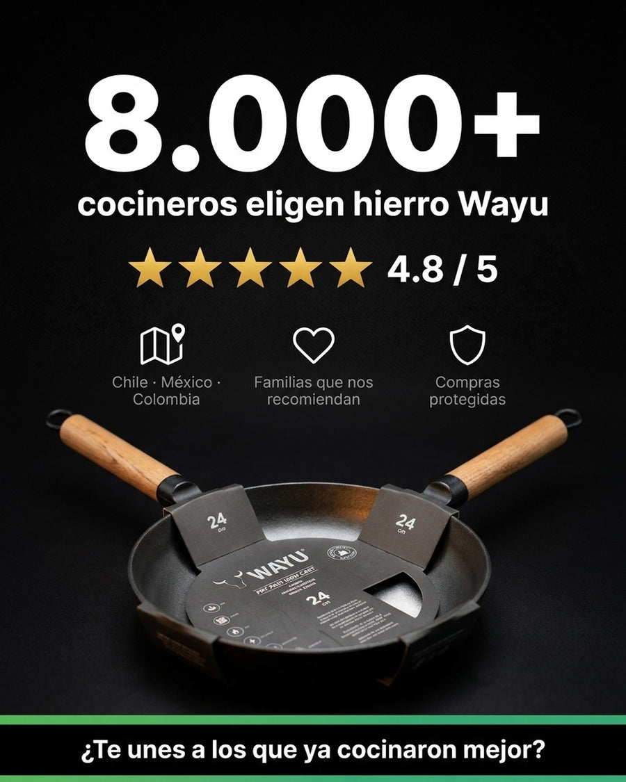 Sartén Wayu 24 Cm Redondo Hierro