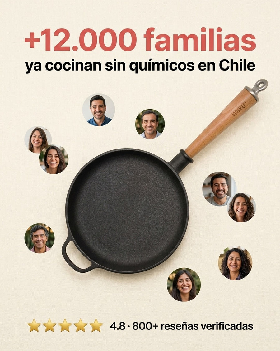 Sarten Hierro Fundido 20cm Wayu Fierro Profesional Cocina