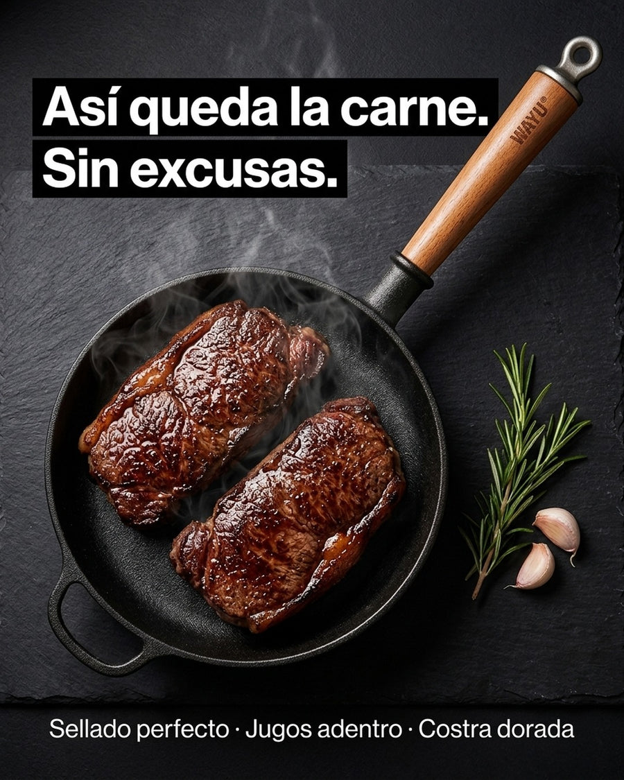 Sarten Hierro Fundido 20cm Wayu Fierro Profesional Cocina