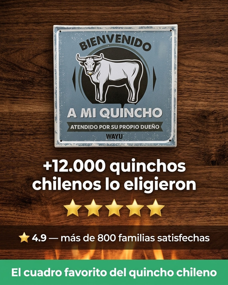 Cuadro Bar Metálico Wayu 25x25 Mi Quincho Parrilla Bbq