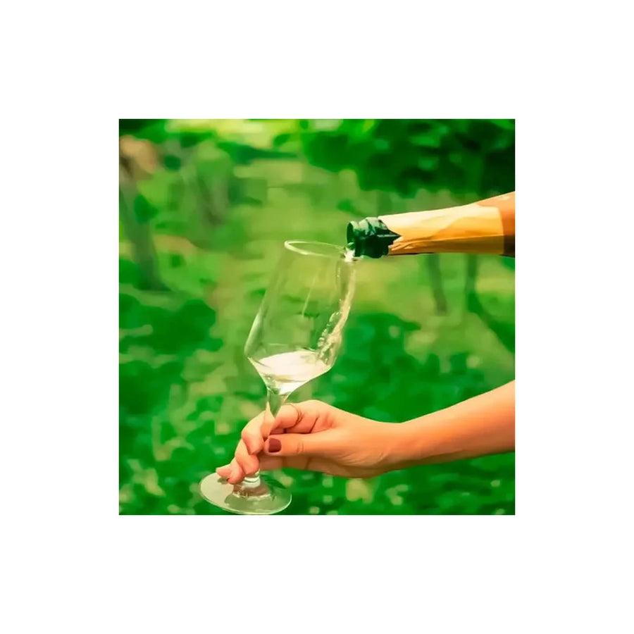 6 Copas Champagne Flauta Espumante 225cc Premium Nadir Transparente