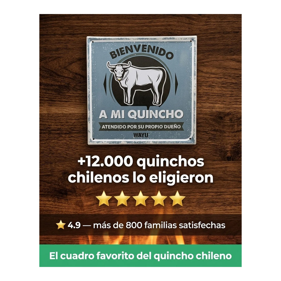 Cuadro Bar Metálico Wayu 25x25 Mi Quincho Parrilla Bbq