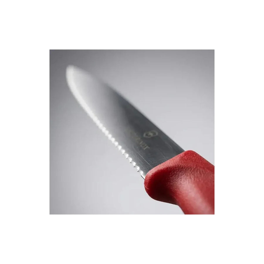 Cuchillo Cocina Victorinox Rojo 6.7731 Dentado Punta 10cm + Grabado Personalizado