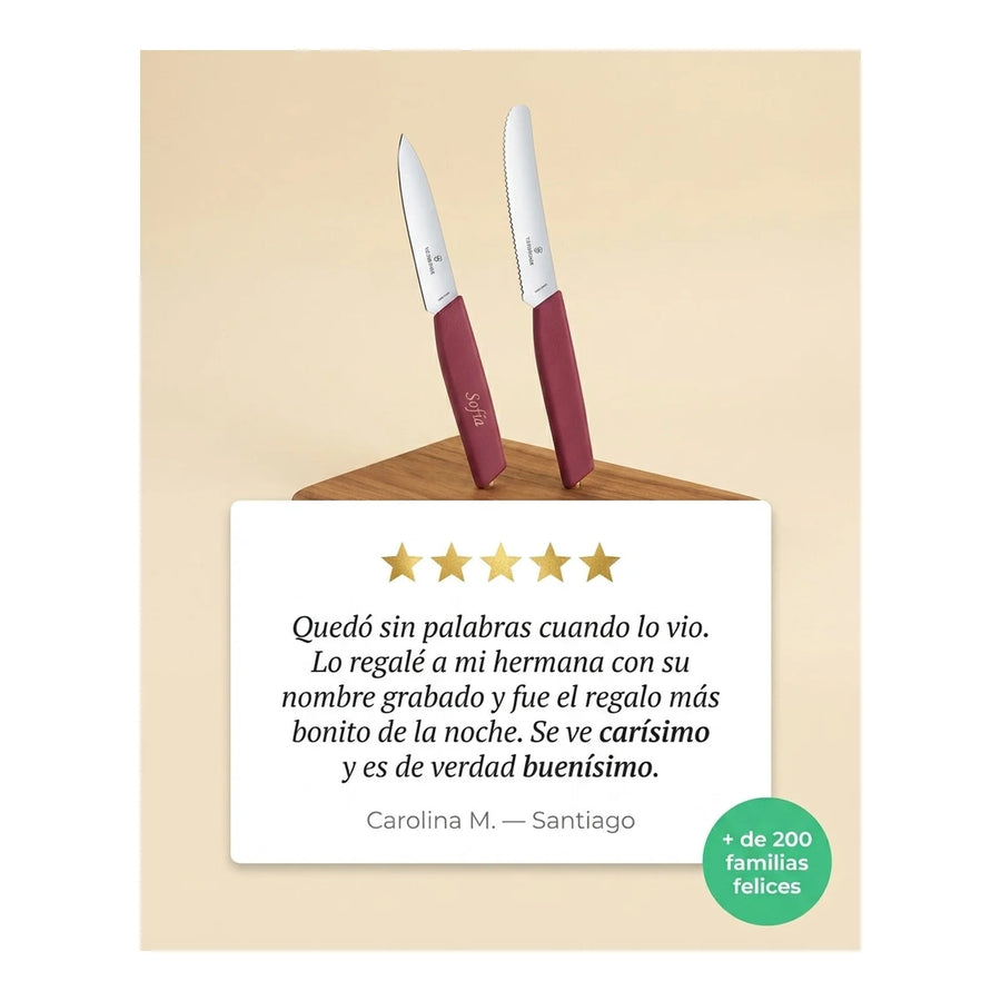 Cuchillos Swiss Modern Berry 6.9096.2l4 Victorinox + Grabado Personalizado