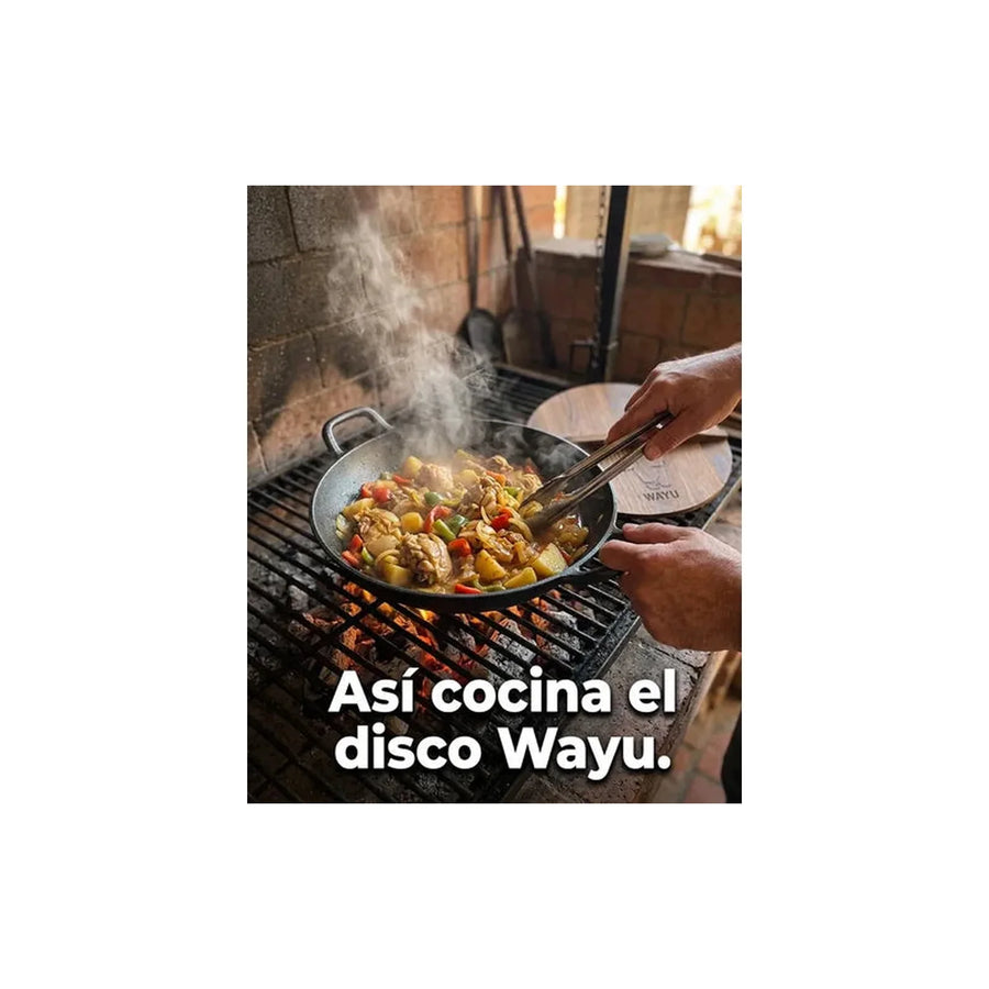 Disco Wayu Asado Parrilla Cocina Quincho