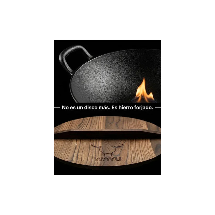 Disco Wayu Asado Parrilla Cocina Quincho