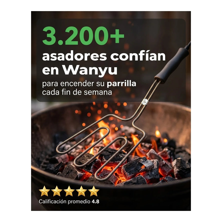 Encendedor Eléctrico De Parrilla Wayu