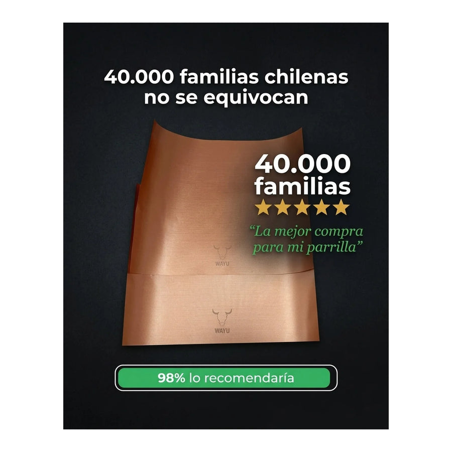 Láminas Antiadherentes Wayu Para Parrilla Horno 2 Piezas