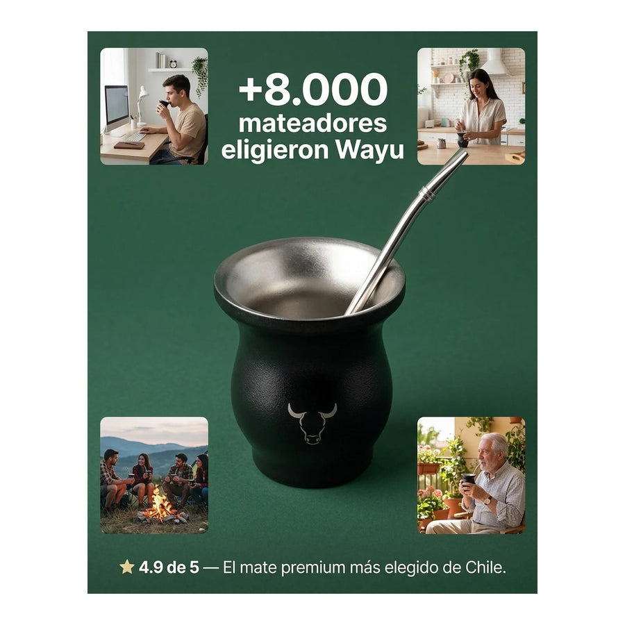 Mate Insulado Wayu Set Con Bombilla 230ml Acero Inoxidable