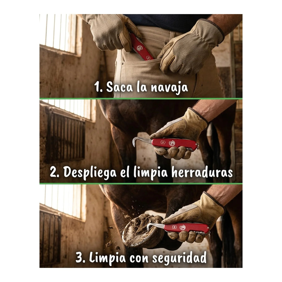 Navaja Cortapluma  Victorinox Equestrian Roja 0.8583 Rodeo + Grabado Personalizado
