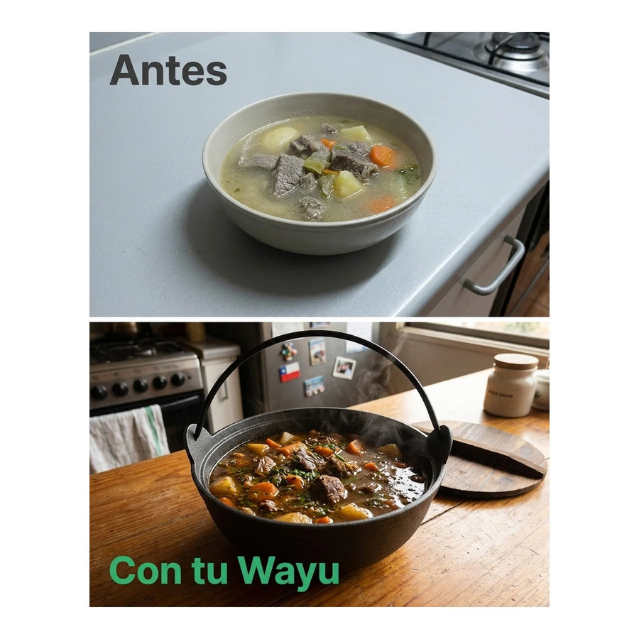 Olla Wayu Hierro Fundido Tapa De Madera 25cm  Asado Cocina