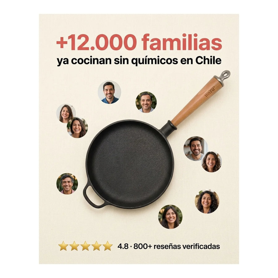 Sarten Hierro Fundido 20cm Wayu Fierro Profesional Cocina
