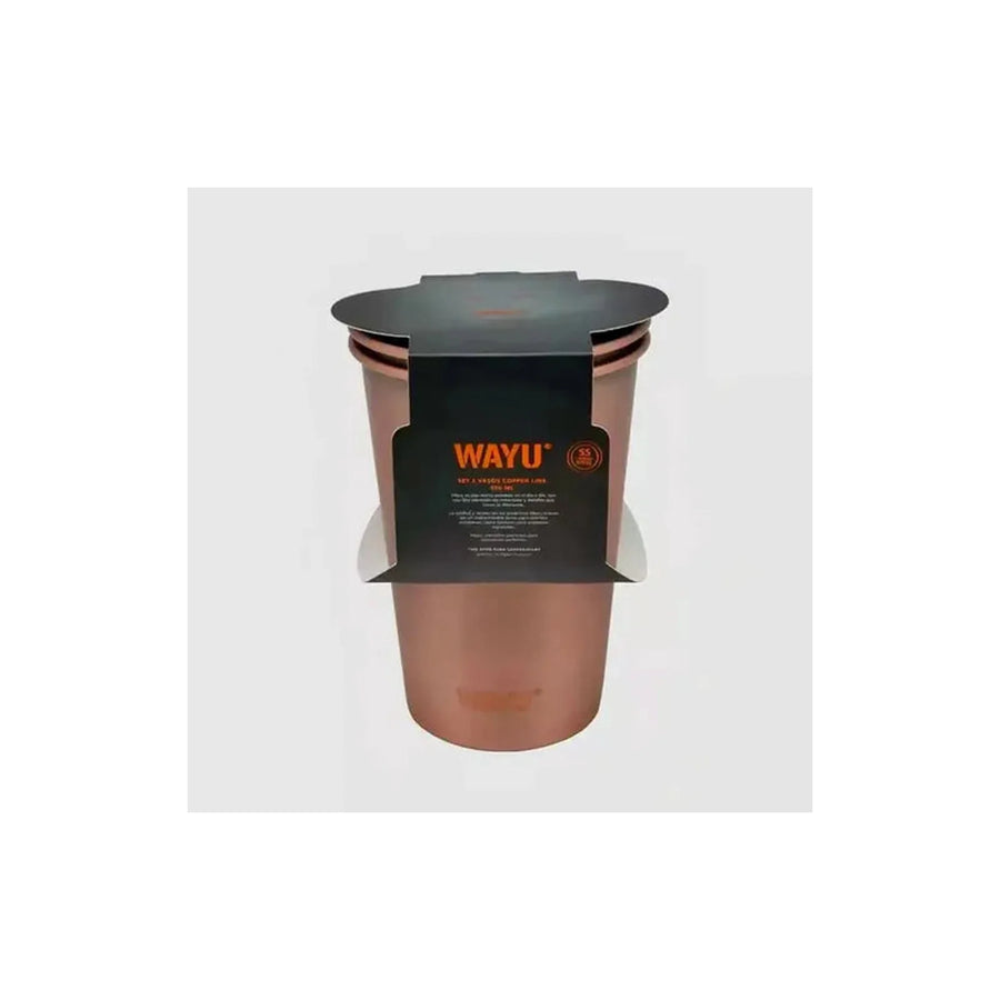 Set 2 Vasos 500ml Copper Line Wayu Cobre
