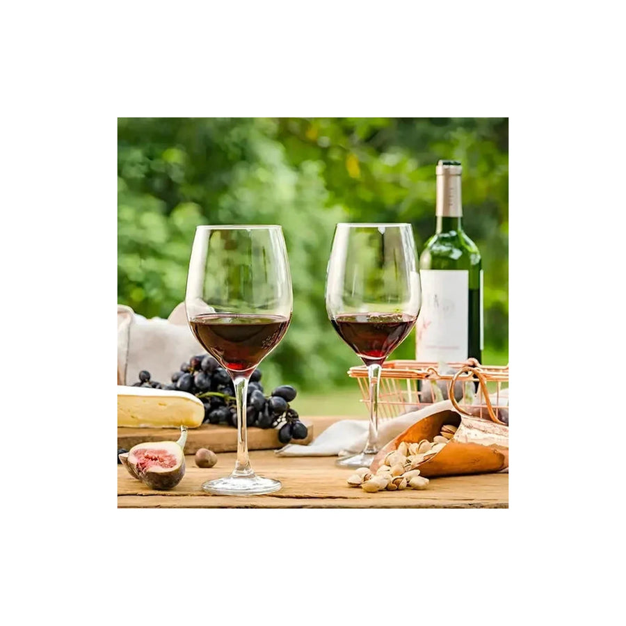 Set 6 Copas Nadir Barone Vidrio 490ml Para Vino Y Agua Transparente