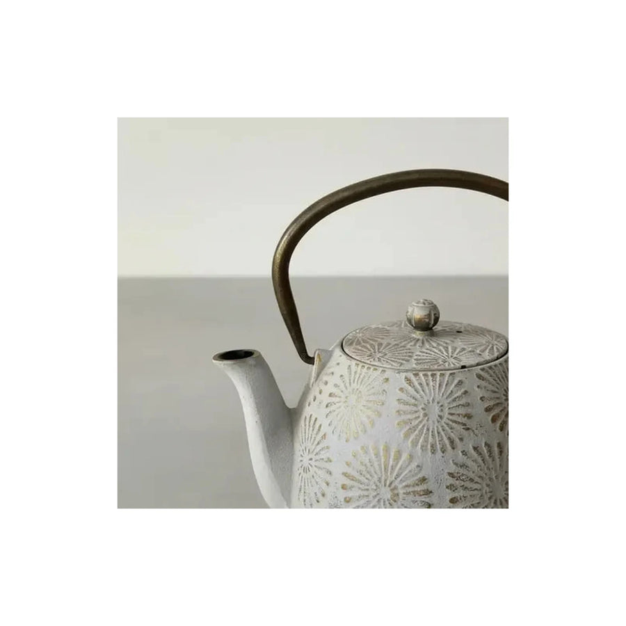 Tetera de Hierro Fundido 1,2 L con Infusor