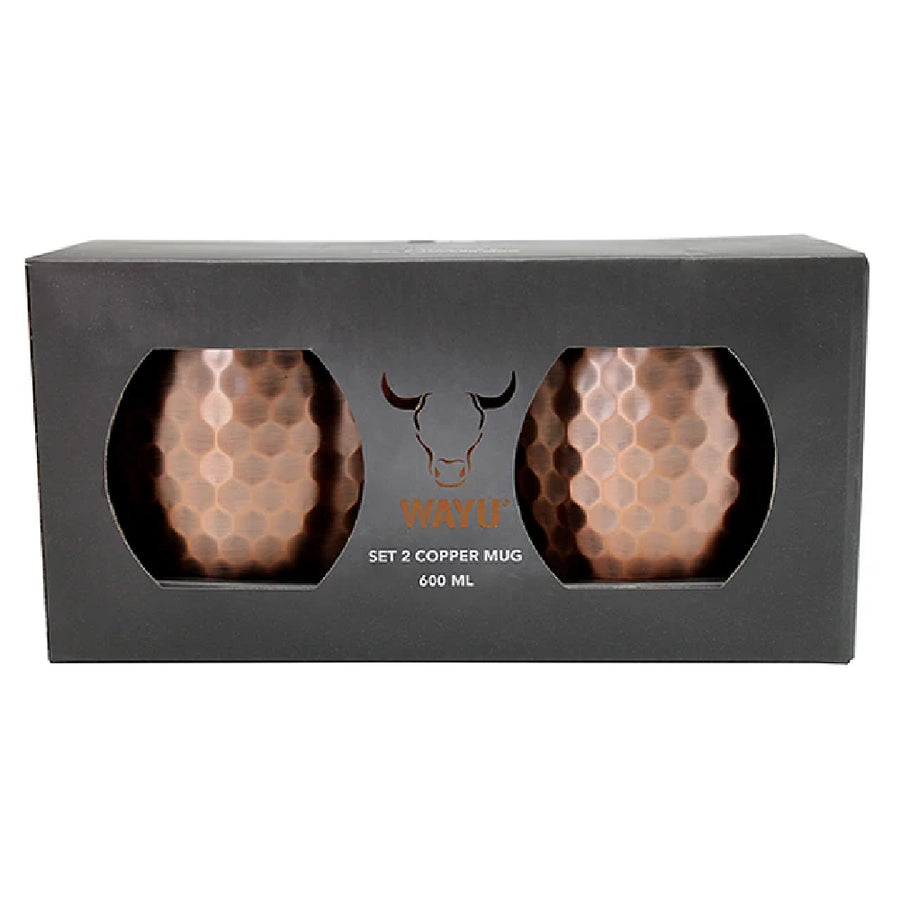 Set De 2 Vasos De Cobre Wayu (foto 3)
